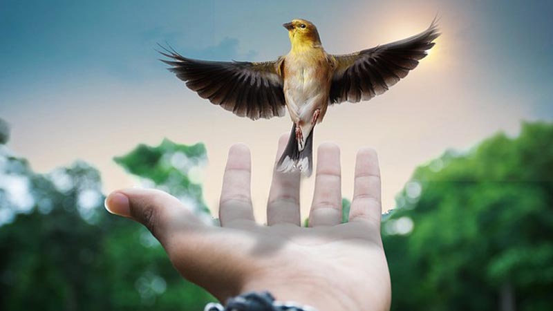 Jak skutecznie komunikować ochronę własności intelektualnej